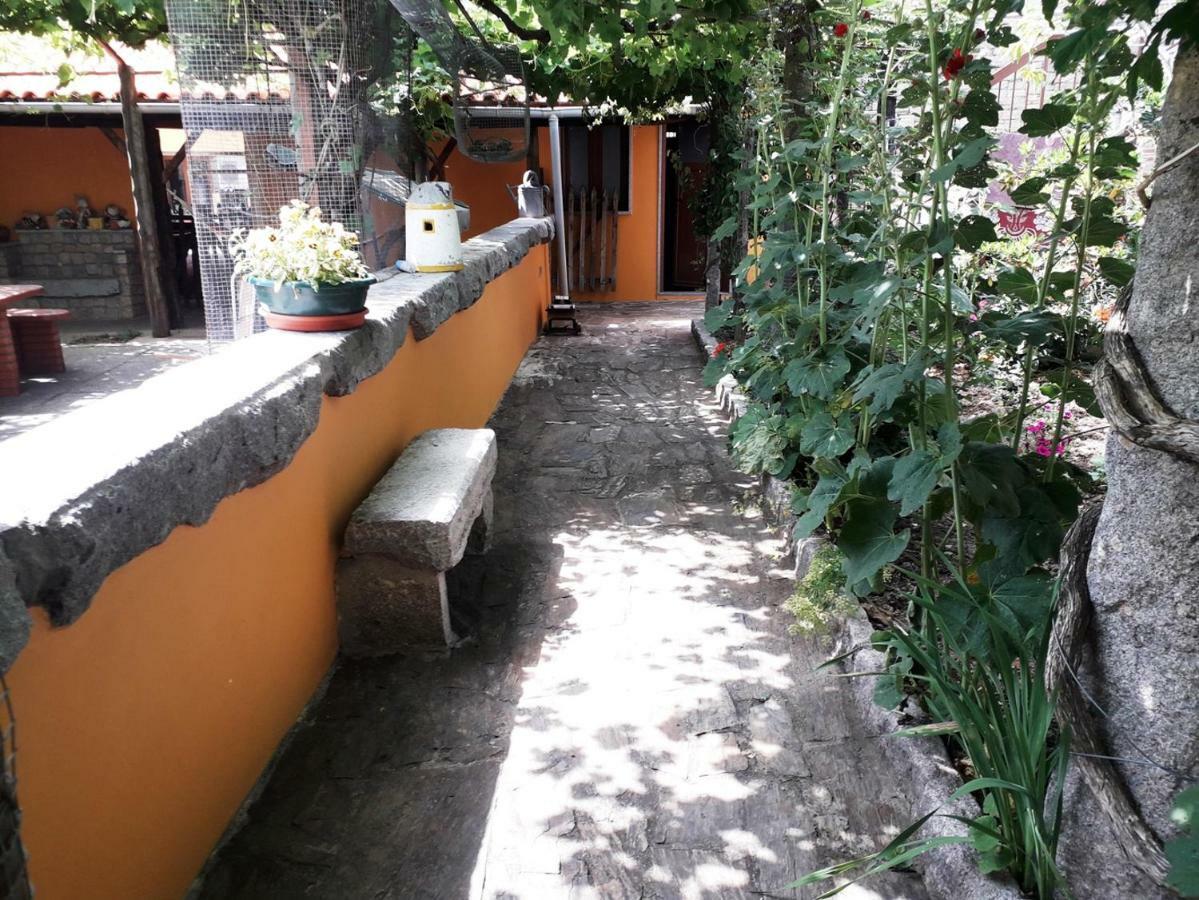 Quinta Da Moagem Villa Macedo de Cavaleiros Dış mekan fotoğraf